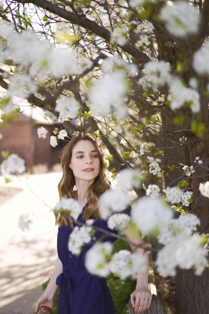 white blooms on a tree