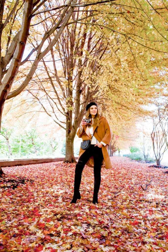 Women's black and brown outfit 