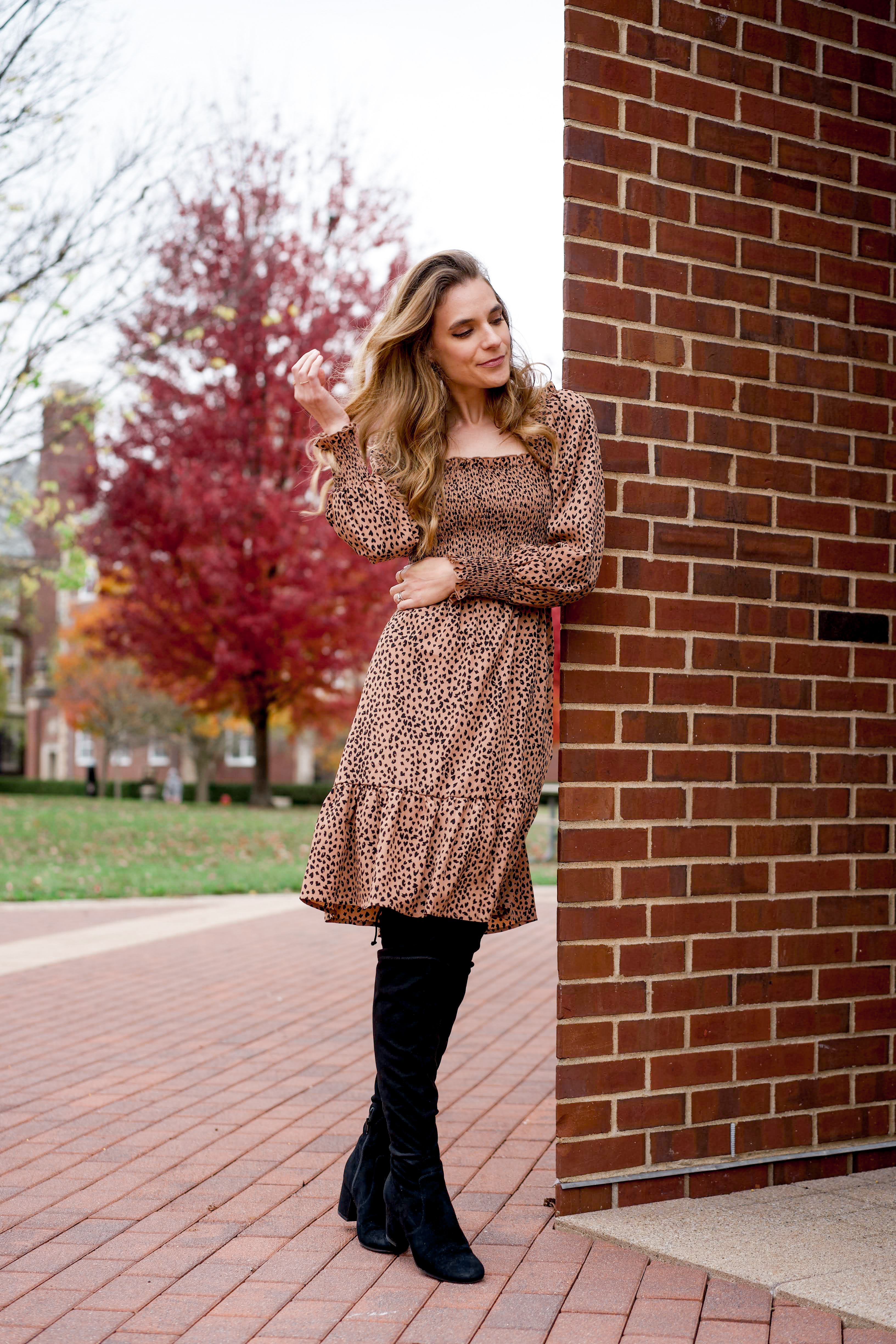 Women's midi cheetah print long sleeve dress