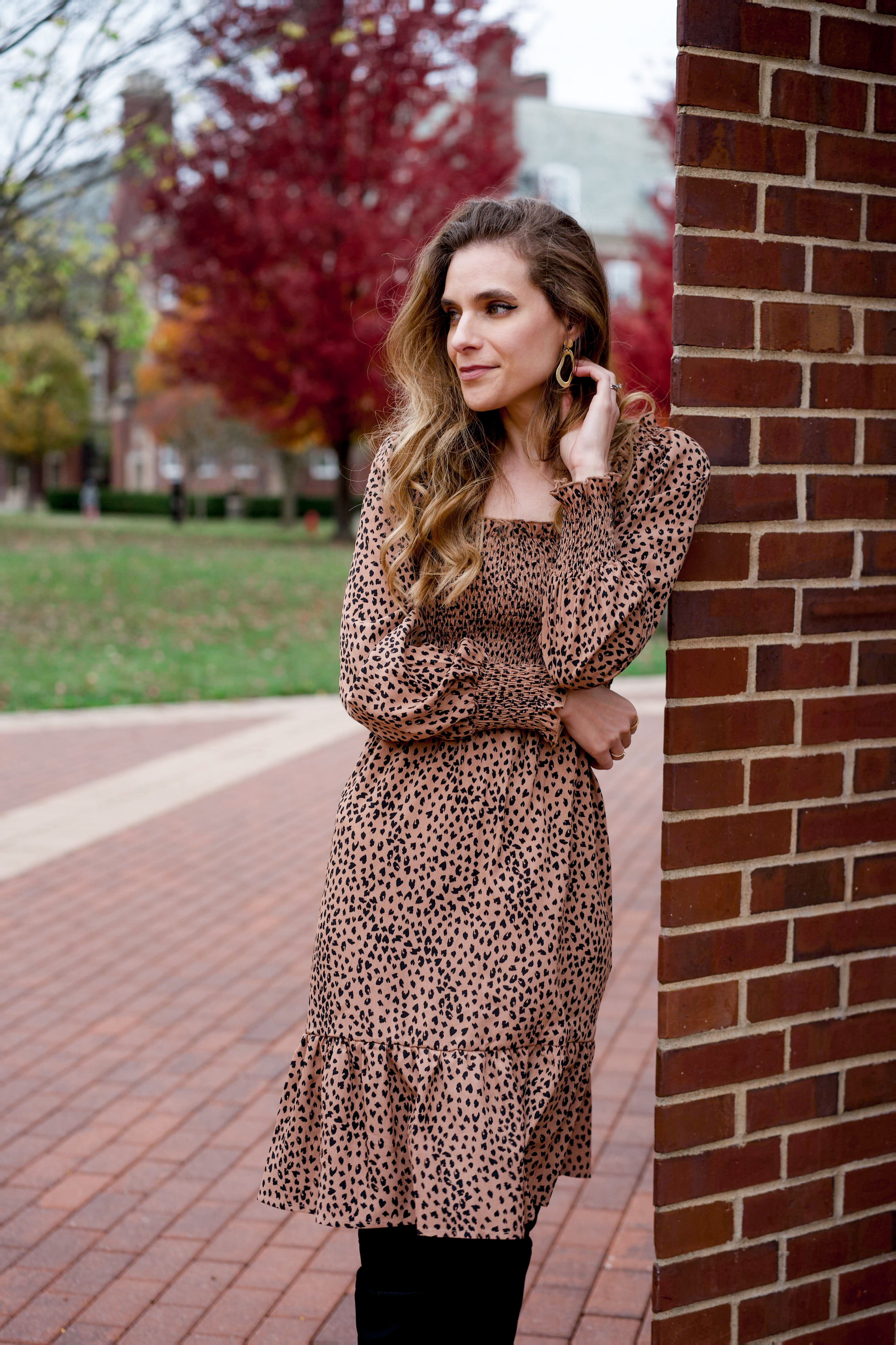 Dressbarn cheetah print dress 