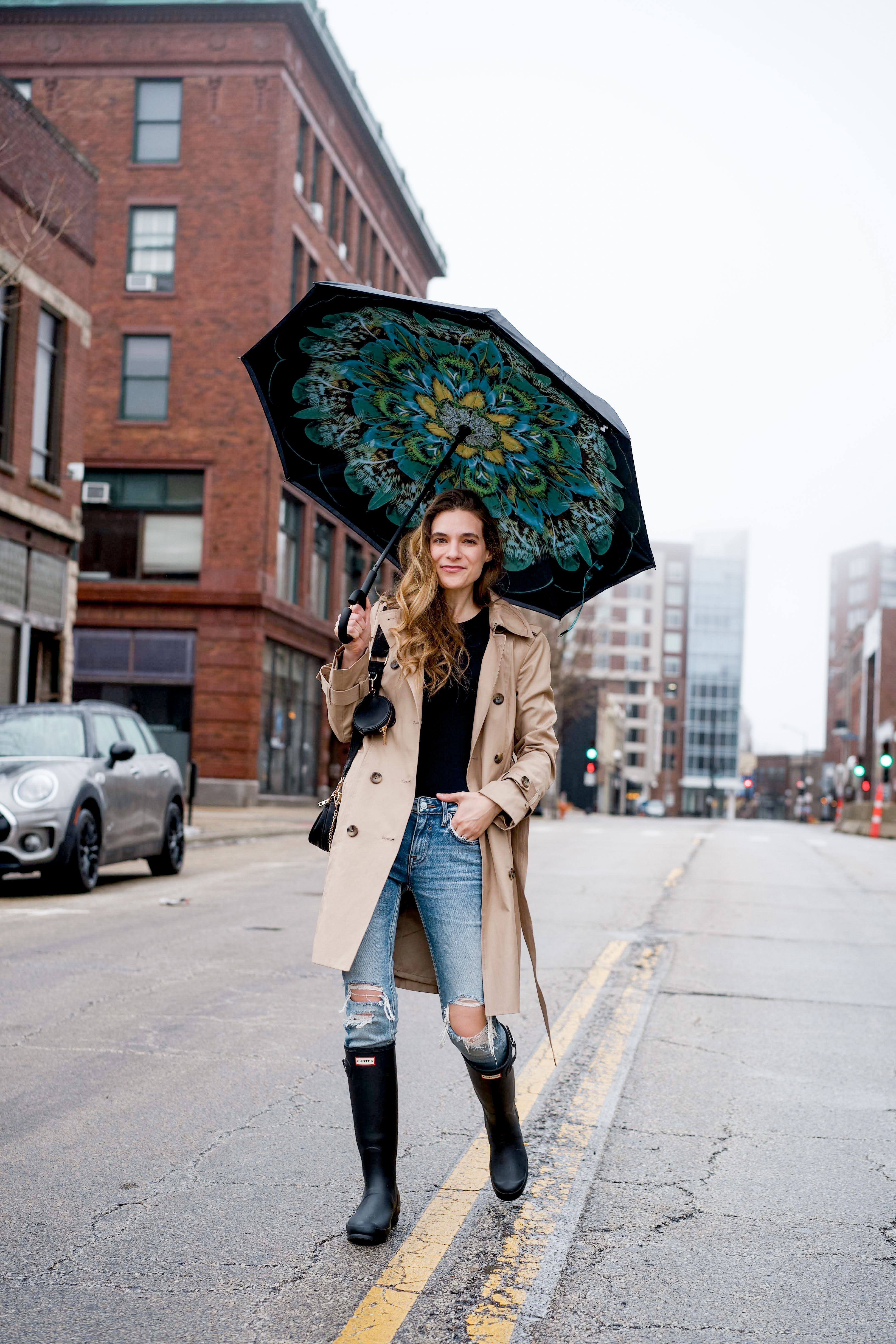 Peacock umbrella