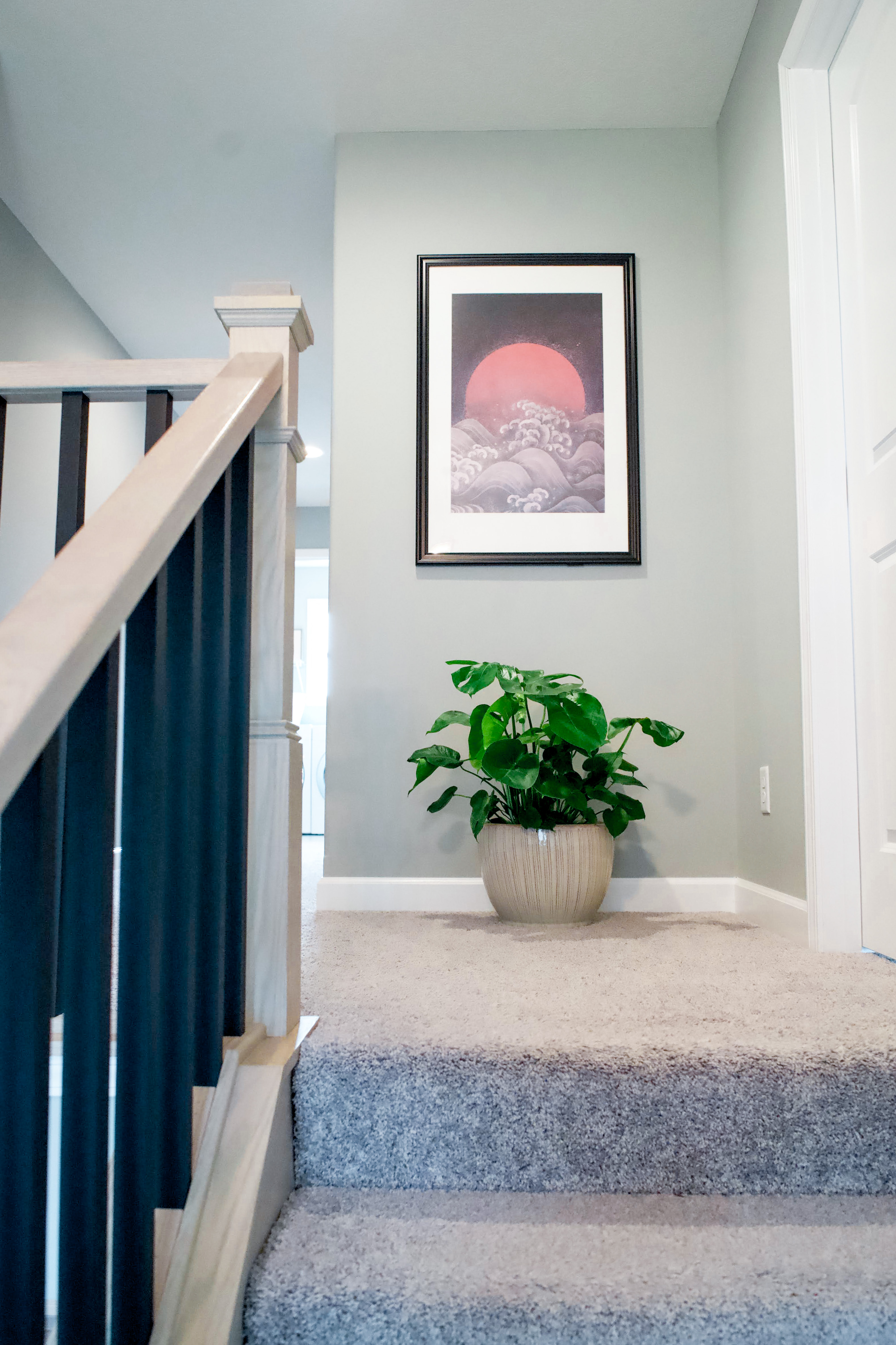 Philodendron plant and large pot