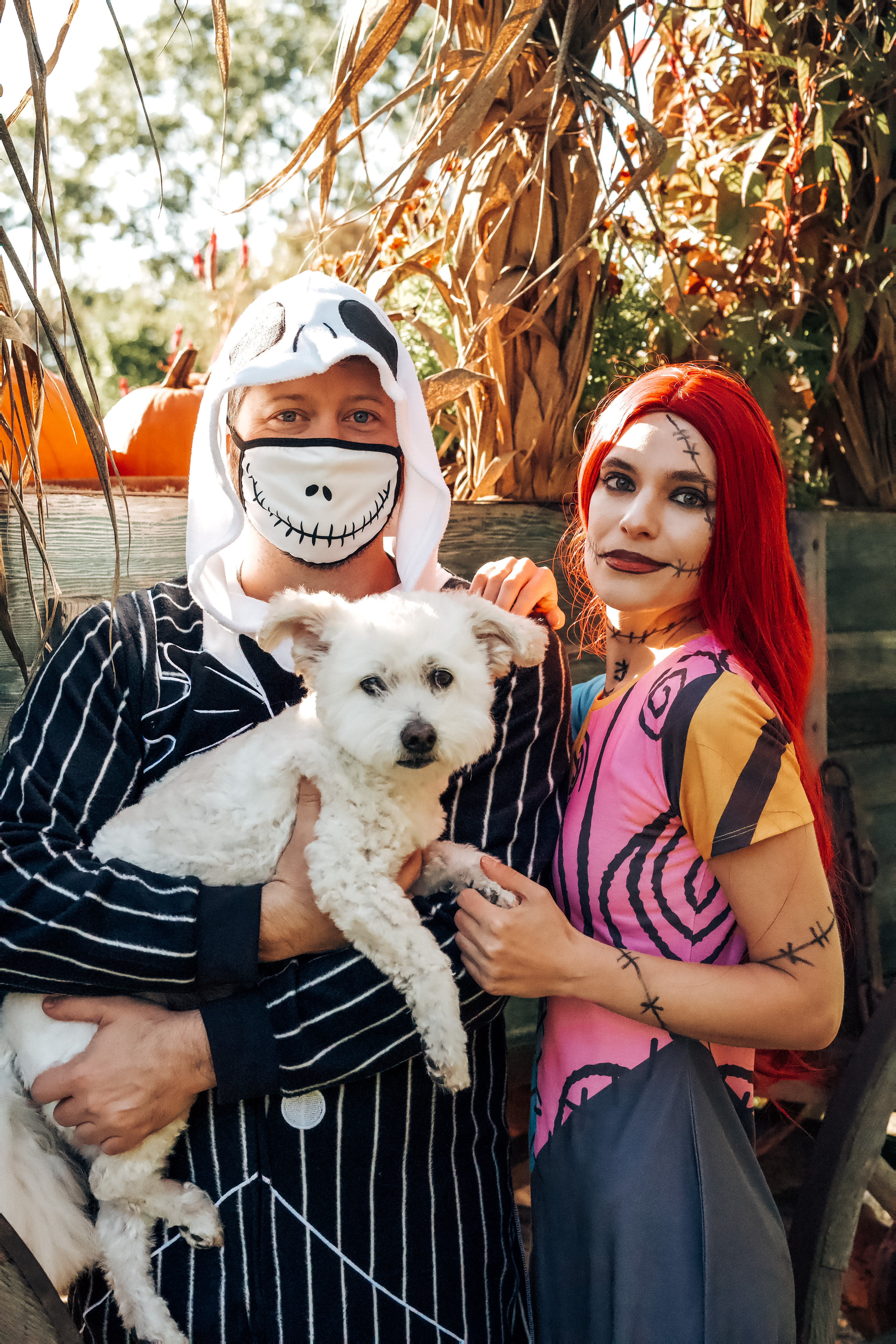 Jack Skellington, Sally, and Zero Halloween costumes 