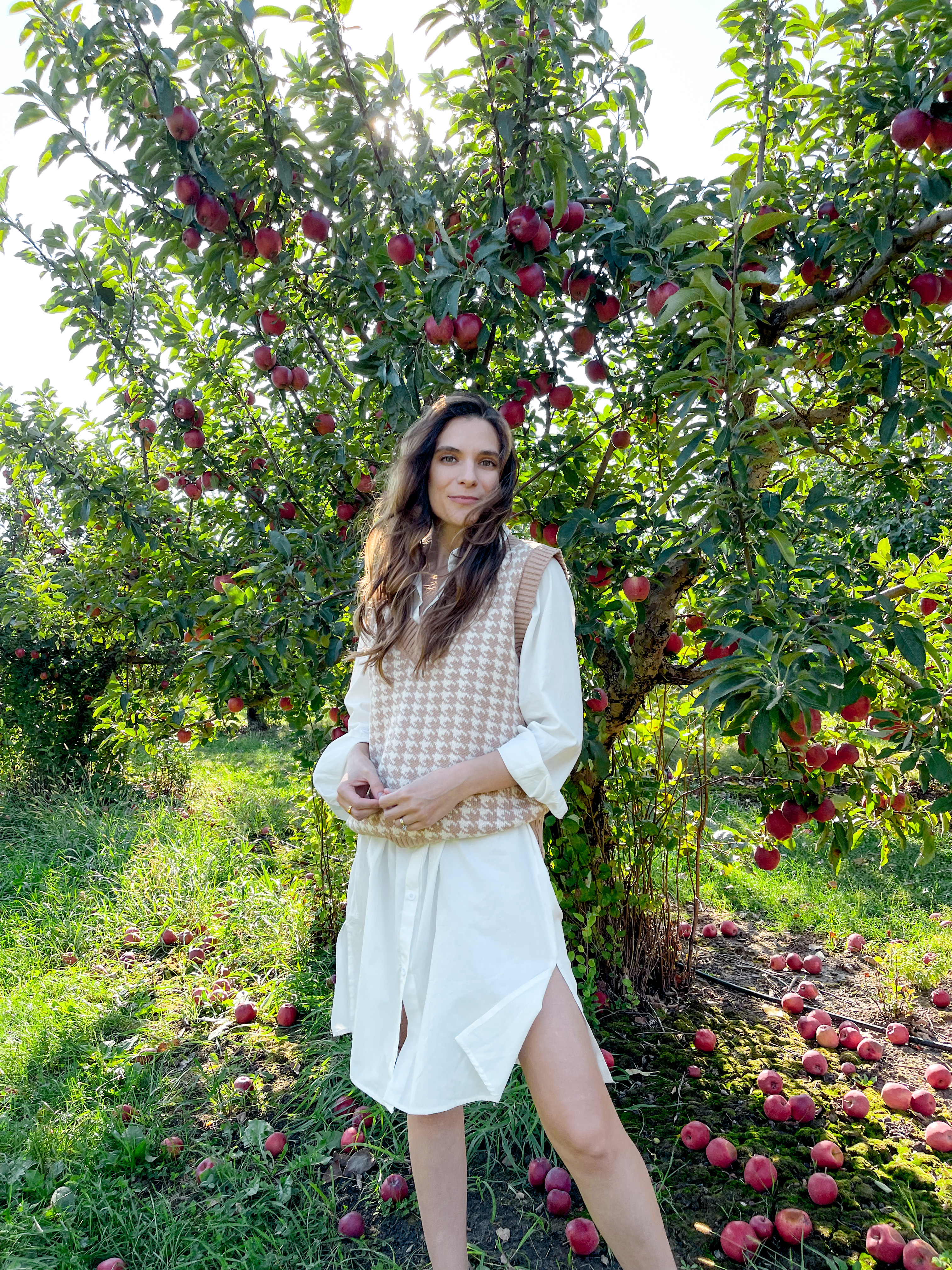 sweater vest over a white shirt dress